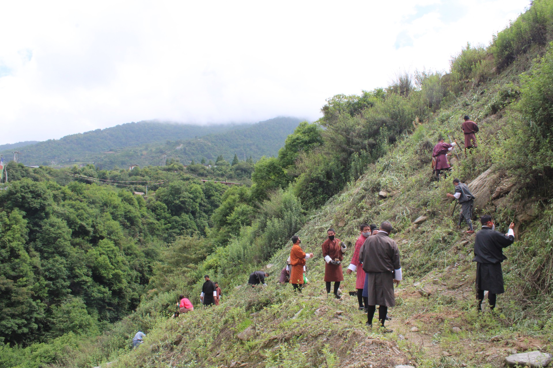 Officials of Officials of Dzongkhag Administration, KHEL and Regional Offices planted a total of 130 saplings.