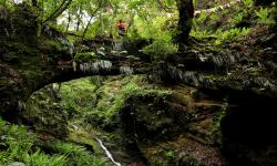 stone bridge