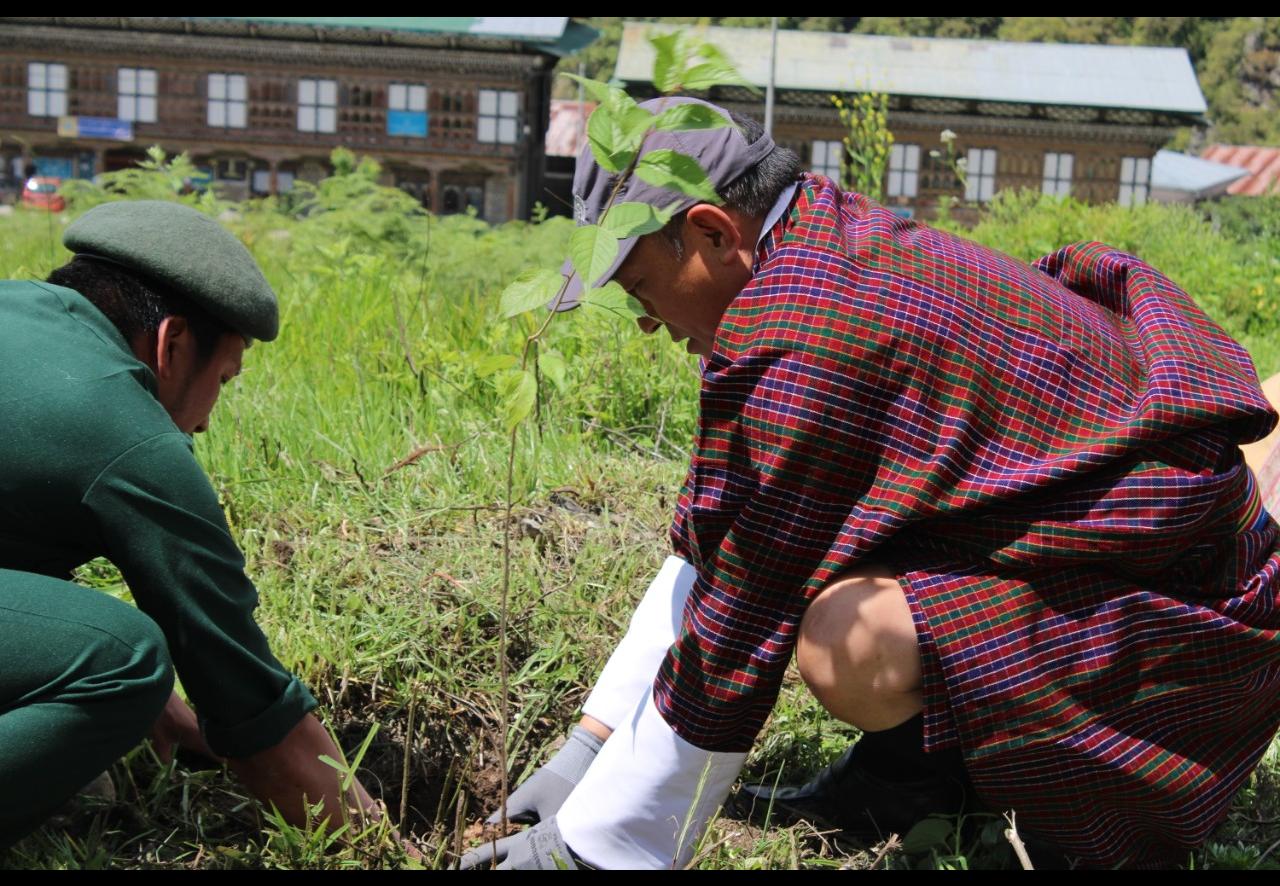 Dzongdag