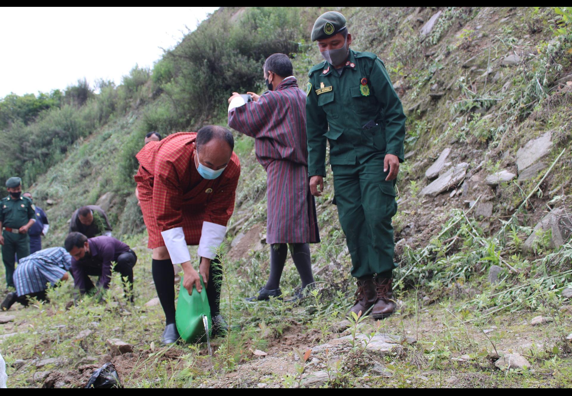 Dzongdag